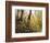 Fall Leaves-Miguel Dominguez-Framed Giclee Print