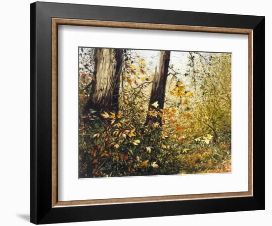 Fall Leaves-Miguel Dominguez-Framed Giclee Print