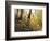 Fall Leaves-Miguel Dominguez-Framed Giclee Print