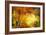 Fall Light 3-Ursula Abresch-Framed Photographic Print