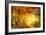 Fall Light 3-Ursula Abresch-Framed Photographic Print