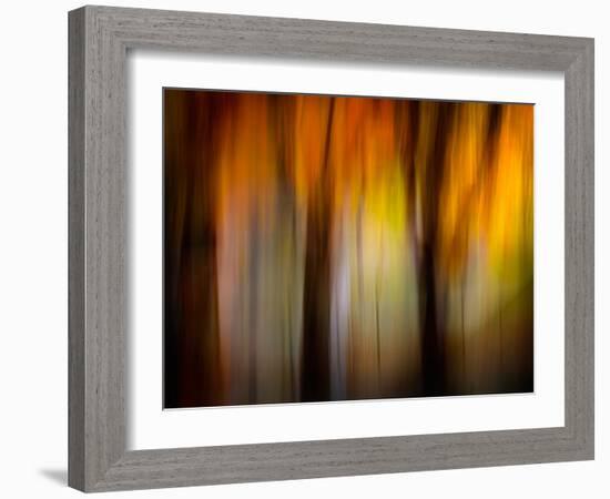 Fall Light-Ursula Abresch-Framed Photographic Print