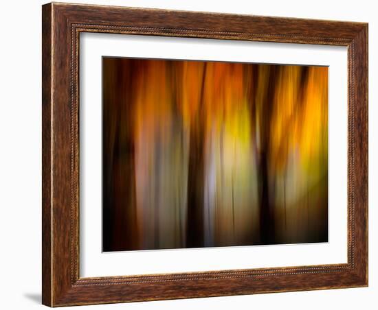 Fall Light-Ursula Abresch-Framed Photographic Print