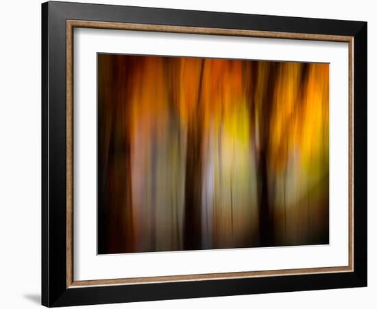 Fall Light-Ursula Abresch-Framed Photographic Print