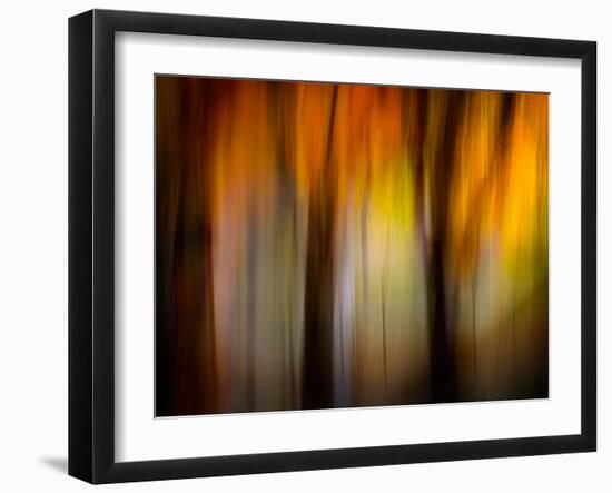 Fall Light-Ursula Abresch-Framed Photographic Print