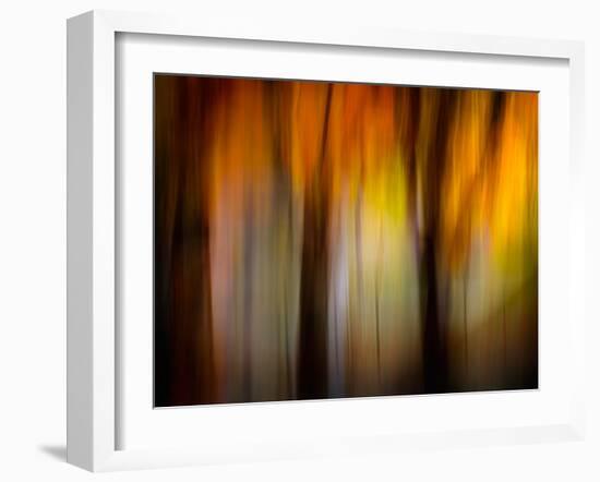 Fall Light-Ursula Abresch-Framed Photographic Print