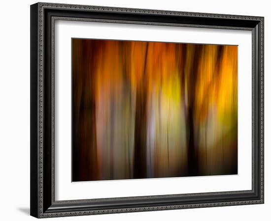 Fall Light-Ursula Abresch-Framed Photographic Print