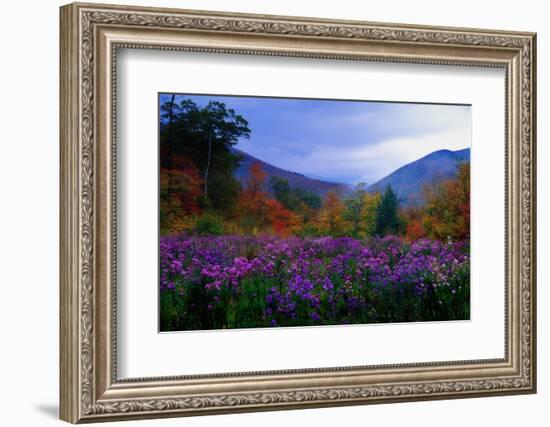 Fall Meadow at Twilight-George Oze-Framed Photographic Print