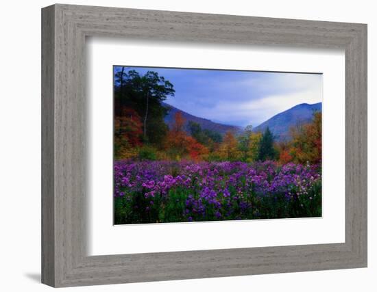 Fall Meadow at Twilight-George Oze-Framed Photographic Print