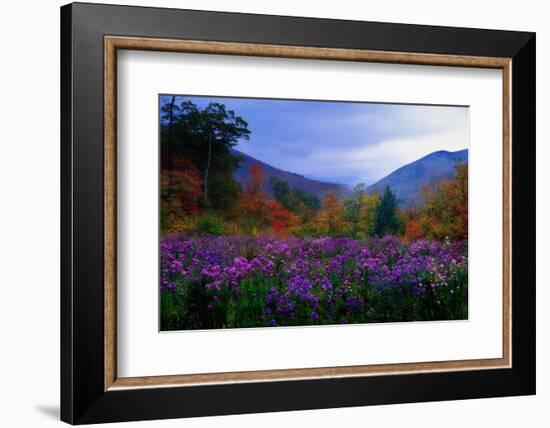 Fall Meadow at Twilight-George Oze-Framed Photographic Print