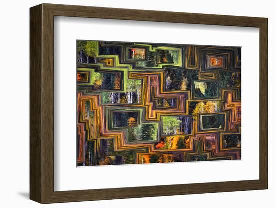 Fall Mosaic-Ursula Abresch-Framed Photographic Print