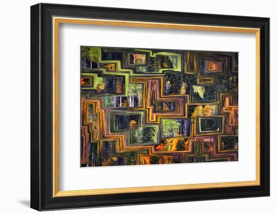 Fall Mosaic-Ursula Abresch-Framed Photographic Print