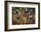 Fall Mosaic-Ursula Abresch-Framed Photographic Print