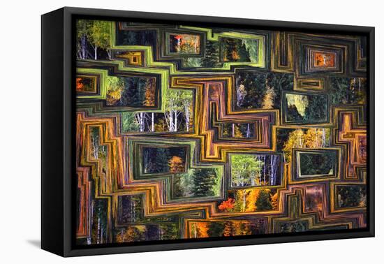 Fall Mosaic-Ursula Abresch-Framed Premier Image Canvas