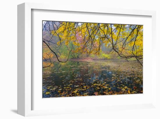 Fall New York Botanical Garden-null-Framed Art Print