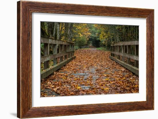 Fall on the Goose (Victoria)-Tim Oldford-Framed Photographic Print