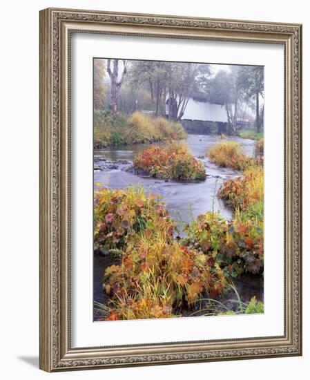 Fall over Harris Covered Bridge in Benton County, Oregon, USA-Janis Miglavs-Framed Photographic Print