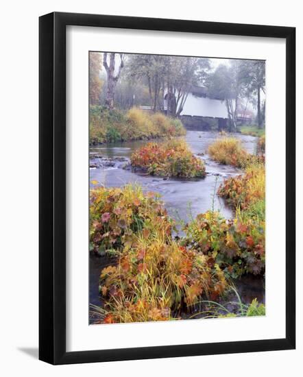 Fall over Harris Covered Bridge in Benton County, Oregon, USA-Janis Miglavs-Framed Photographic Print