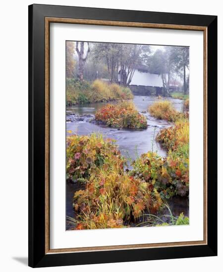 Fall over Harris Covered Bridge in Benton County, Oregon, USA-Janis Miglavs-Framed Photographic Print