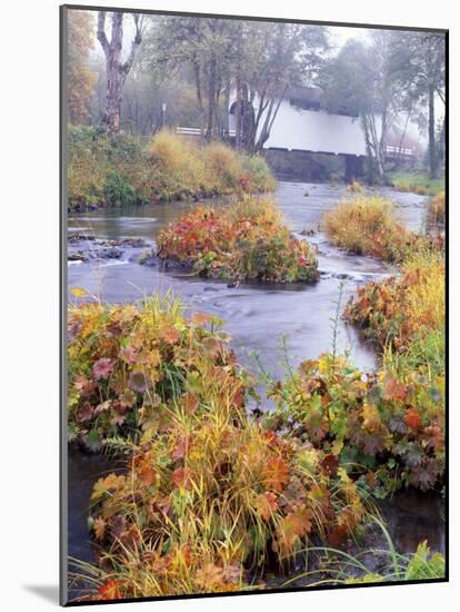 Fall over Harris Covered Bridge in Benton County, Oregon, USA-Janis Miglavs-Mounted Photographic Print