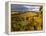 Fall Over the Knudsen and Bella Vida Vineyards, Willamette Valley, Oregon, USA-Janis Miglavs-Framed Premier Image Canvas