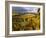 Fall Over the Knudsen and Bella Vida Vineyards, Willamette Valley, Oregon, USA-Janis Miglavs-Framed Photographic Print