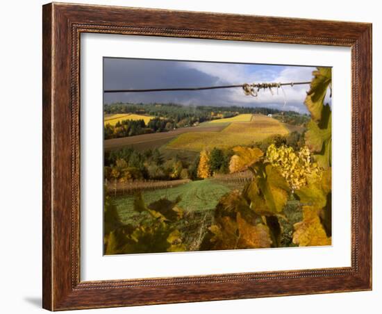 Fall Over the Knudsen and Bella Vida Vineyards, Willamette Valley, Oregon, USA-Janis Miglavs-Framed Photographic Print
