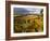 Fall Over the Knudsen and Bella Vida Vineyards, Willamette Valley, Oregon, USA-Janis Miglavs-Framed Photographic Print