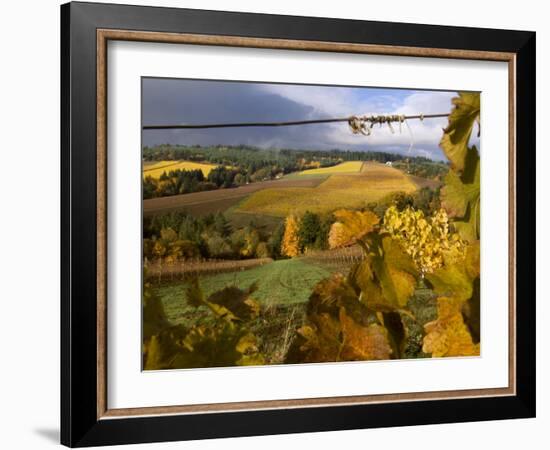 Fall Over the Knudsen and Bella Vida Vineyards, Willamette Valley, Oregon, USA-Janis Miglavs-Framed Photographic Print