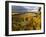 Fall Over the Knudsen and Bella Vida Vineyards, Willamette Valley, Oregon, USA-Janis Miglavs-Framed Photographic Print