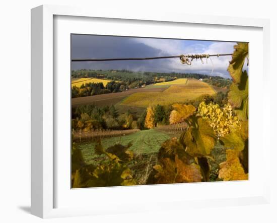 Fall Over the Knudsen and Bella Vida Vineyards, Willamette Valley, Oregon, USA-Janis Miglavs-Framed Photographic Print