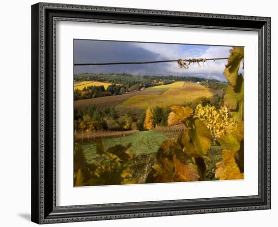 Fall Over the Knudsen and Bella Vida Vineyards, Willamette Valley, Oregon, USA-Janis Miglavs-Framed Photographic Print