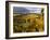 Fall Over the Knudsen and Bella Vida Vineyards, Willamette Valley, Oregon, USA-Janis Miglavs-Framed Photographic Print