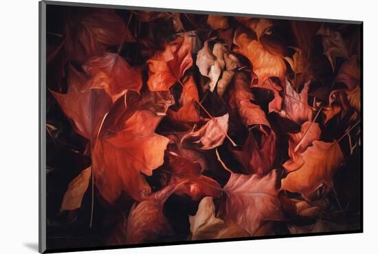 Fall Pick up-Philippe Sainte-Laudy-Mounted Photographic Print