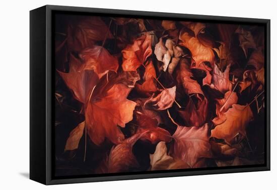 Fall Pick up-Philippe Sainte-Laudy-Framed Premier Image Canvas