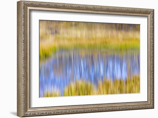 Fall Pond I-Kathy Mahan-Framed Photographic Print