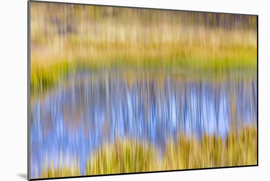 Fall Pond I-Kathy Mahan-Mounted Photographic Print