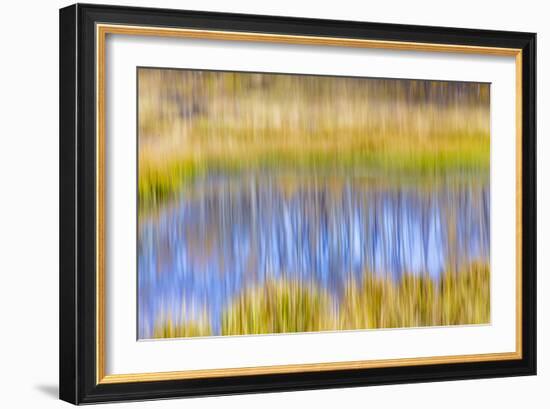 Fall Pond I-Kathy Mahan-Framed Photographic Print