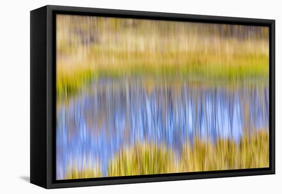 Fall Pond I-Kathy Mahan-Framed Premier Image Canvas