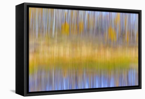 Fall Pond II-Kathy Mahan-Framed Premier Image Canvas