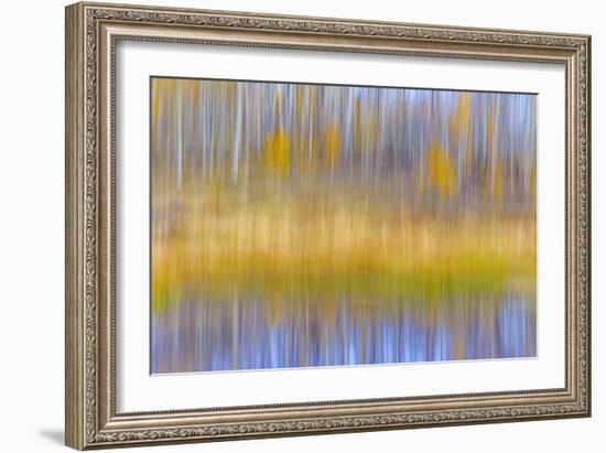 Fall Pond II-Kathy Mahan-Framed Photographic Print