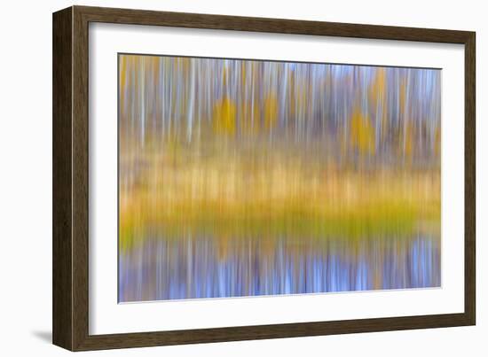Fall Pond II-Kathy Mahan-Framed Photographic Print