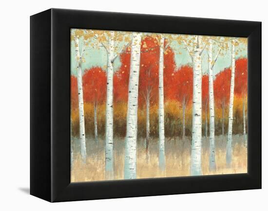 Fall Promenade I Crop-James Wiens-Framed Stretched Canvas