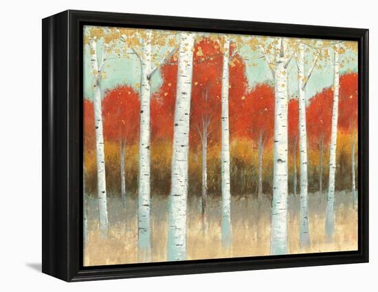 Fall Promenade I Crop-James Wiens-Framed Stretched Canvas