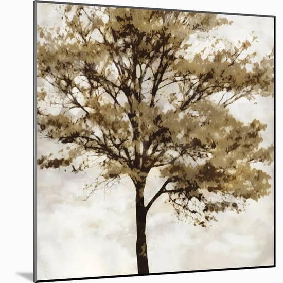 Fall Reflect-Tania Bello-Mounted Giclee Print