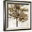 Fall Reflect-Tania Bello-Framed Giclee Print