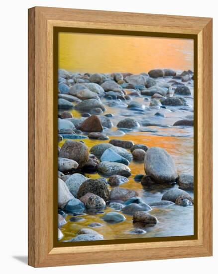 Fall Reflections Among the Cobblestones in the Saco River, White Mountains, New Hampshire, USA-Jerry & Marcy Monkman-Framed Premier Image Canvas