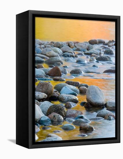 Fall Reflections Among the Cobblestones in the Saco River, White Mountains, New Hampshire, USA-Jerry & Marcy Monkman-Framed Premier Image Canvas