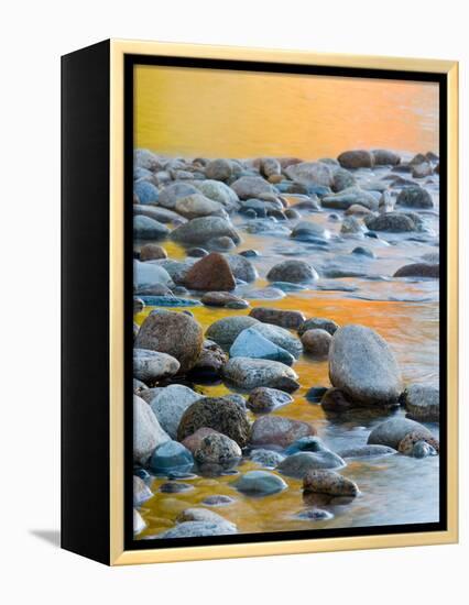 Fall Reflections Among the Cobblestones in the Saco River, White Mountains, New Hampshire, USA-Jerry & Marcy Monkman-Framed Premier Image Canvas