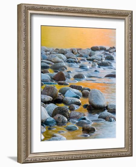 Fall Reflections Among the Cobblestones in the Saco River, White Mountains, New Hampshire, USA-Jerry & Marcy Monkman-Framed Photographic Print